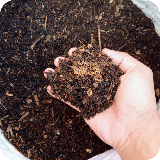 Nälkjate peidupaigad kompostis